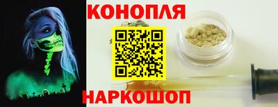 гидра Краснокаменск