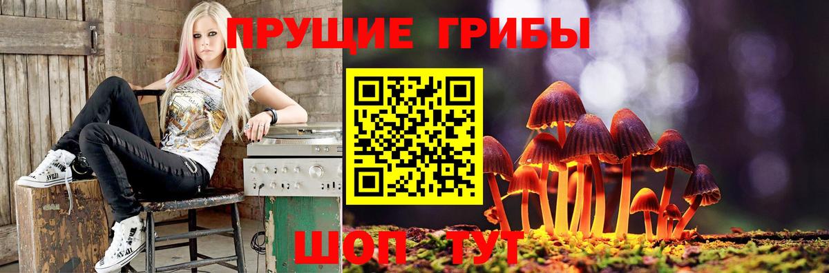 Псилоцибиновые грибы Magic Shrooms  Псилоцибиновые грибы мухоморы  Вход с VPN  Бутурлиновка 